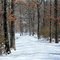 Snow covered path