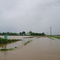 Road #338 Flooded