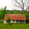 Blue Trimmed House