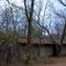 In the Woods