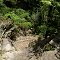 Dry waterfall on Ashley Creek, Mount Magazine, Arkansas