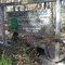 Williams Woods Nature Preserve