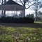 Walker Park 3