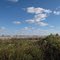 Cotton in the field, cotton in the sky, just south of Steele, Missouri