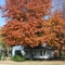 Fall in Arkansas