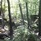 Joe Clark Trail, Lake Wilson, Fayetteville, AR