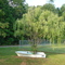 Boat-Tree