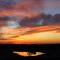 sunrise over a cow's pond