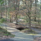 South Arkansas Aboretum Paths