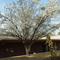El Dorado High School Court Yard