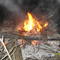 bucksnort fire