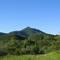 Griffith's Knob