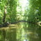 Creek that leads into Wall Lake off of White River