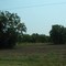 Trees off U.S. 65
