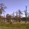The Bayou