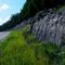Roadside Bluff