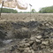 In search field looking north across hole
