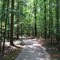 Tranquil Path outside of Crater of the Diamonds State Park