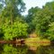 Josh's Landing, Mattaponi River - King William County, VA.