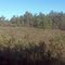 Panorama 2