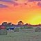 Haying at Sundown