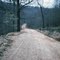 Ozark Back Road - 1974 (D32A)