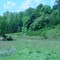 Down in the fields