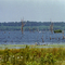 Lake Monticello, near Monticello, AR