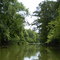 Doty Creek