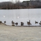 Reynold's Park guardians