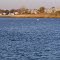 Belmar Basin  Panorama