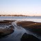 Belmar Basin Birds