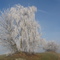winter in Fritzelsdorf
