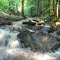wild water II