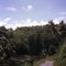 near Overhanging cut out in Hill, near Namatani area,  NIProv, PNG