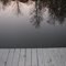 Pond Reflection
