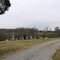 Old Graveyard, Rolling Farm Land.
