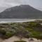 Fitzgerald NP 2