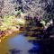 Murray River