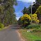 Holyoak Road.