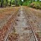 Another abandoned Railway