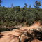 Lane Poole Reserve: Bobs Crossing