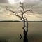 WOODY LAKE