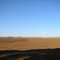 Dry Seeding