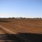 Rich soil recently Seeded