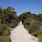 Inneston - Stenhouse Bay walking trail