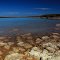 Salty Lake by David Gibbs