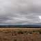 Fairbridge