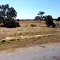 Along Kwinana Freeway near Ravenswood