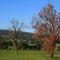 Hotham Valley Railway